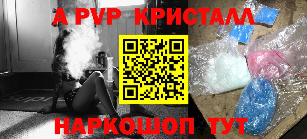 Alfa_PVP СК Грозный
