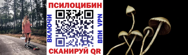 Псилоцибиновые грибы GOLDEN TEACHER  дарнет шоп  Грозный 