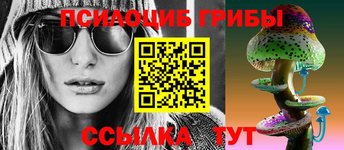 Галлюциногенные грибы Psilocybine cubensis Грозный