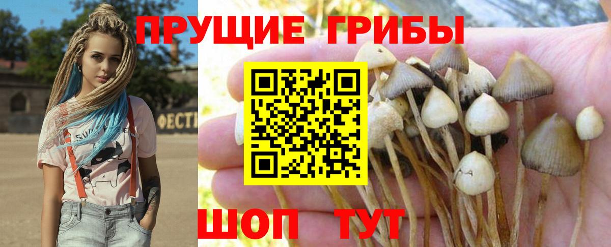 Галлюциногенные грибы мухоморы Грозный