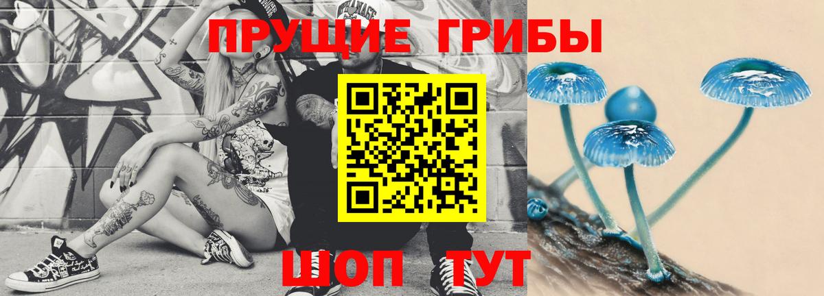 Галлюциногенные грибы Cubensis  Грозный  Галлюциногенные грибы Cubensis 