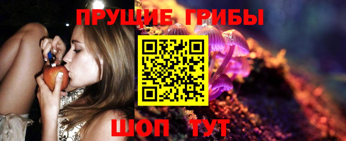Грозный  Псилоцибиновые грибы мухоморы  Вход с VPN 